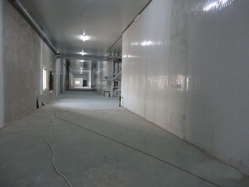 扶溝縣益源果蔬專(zhuān)業(yè)合作社